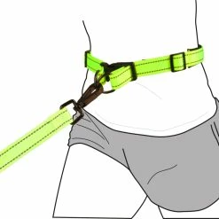 Flamingo Laisse Pour Le Jogging + Ceinture Ventrale Diran M Laisse 103cm / Ceinture 76-100cm -Nourritures pour chien dda44e44d7acd90e715c0e37a4b6269b6ef3862ed363ebc8c760f1bbb6700f7d