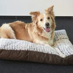 Flamingo Coussin Snoozzy Rectangulaire Fermeture Eclair Brun 80x55x10cm -Nourritures pour chien ddebe20b0518f8cb1ab97d70c10ffd70611da800dd60a449d444ba58ea18165f scaled