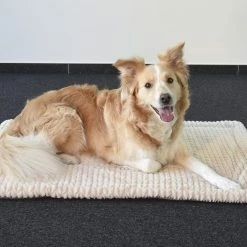 Flamingo Coussin Zupo Plat Rectangulaire Gris 100,5x63x2cm -Nourritures pour chien de5c5c4b160eef4ebe924dd58e302b4a4f13be5b0e2b05e1751b339ca6f7eb58 scaled