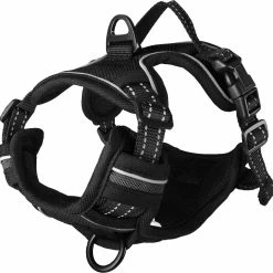 Flamingo Harnais Balou Noir XS 30-45cm 15mm