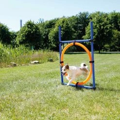 Trixie Fun Agility Anneau 7 Trixie Fun Agility Anneau -Nourritures pour chien e946b434719bcb1be05c057c9cfe4b06e98fccf18c1862cf8270624aa8f88100