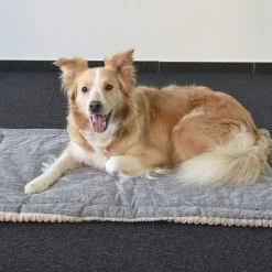 Flamingo Coussin Zupo Plat Rectangulaire Gris 100,5x63x2cm -Nourritures pour chien ed981943eaed3c8161e97a32c795c87794e26981df13a2dc04c0858f21b9fedd scaled