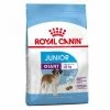 Royal Canin Giant Junior Pour Chien 3,5kg