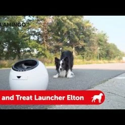 Flamingo Jouet Chien Elton Interactif Distributeur Automatique De Friandises+balles De Tennis 33x24x29cm 21 Flamingo Jouet Chien Elton Interactif Distributeur Automatique De Friandises+balles De Tennis 33x24x29cm -Nourritures pour chien hqdefault 3 1