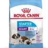 Royal Canin Giant Starter Mother & Babydog 15kg