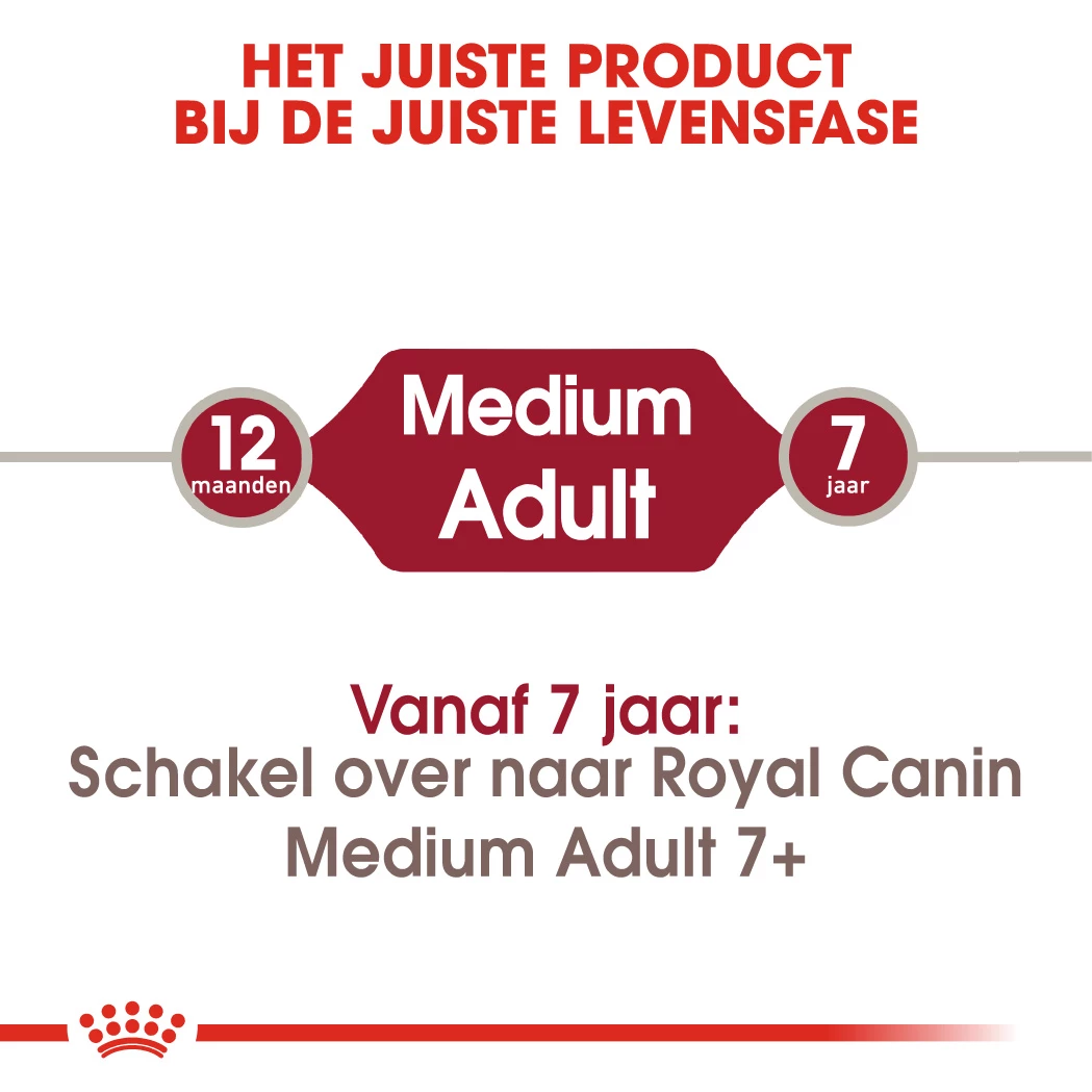 Royal Canin Medium Adult Pour Chien 15kg 8 Royal Canin Medium Adult Pour Chien 15kg – Image 8