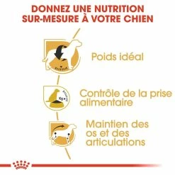 Royal Canin Beagle Adult Pour Chien 12kg -Nourritures pour chien royal canin beagle adult beagle adulte 2