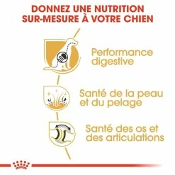 Royal Canin Berger Allemand Adult Pour Chien 11kg 8 Royal Canin Berger Allemand Adult Pour Chien 11kg -Nourritures pour chien royal canin berger allemand adult german shepherd berger allemand adulte german shepherd 2
