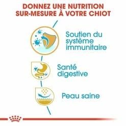 Royal Canin French Bulldog Chiot Pour Chien 10kg -Nourritures pour chien royal canin bouledogue francais puppy bouledogue francais junior 2