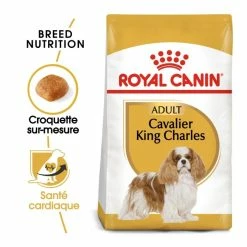 Royal Canin Cavalier King Charles Adult Pour Chien 7,5kg 7 Royal Canin Cavalier King Charles Adult Pour Chien 7,5kg -Nourritures pour chien royal canin cavalier king charles adult cavalier king charles 1