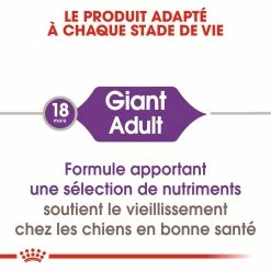 Royal Canin Giant Adult Pour Chien 15kg 6 Royal Canin Giant Adult Pour Chien 15kg -Nourritures pour chien royal canin giant adult giant adult 1