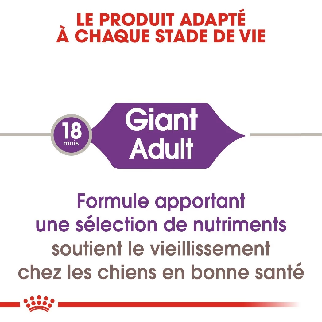Royal Canin Giant Adult Pour Chien 15kg 3 Royal Canin Giant Adult Pour Chien 15kg – Image 3
