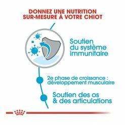 Royal Canin Giant Junior Pour Chien 15kg -Nourritures pour chien royal canin giant junior giant junior 2
