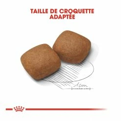 Royal Canin Giant Junior Pour Chien 15kg -Nourritures pour chien royal canin giant junior giant junior 3