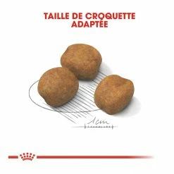 Royal Canin Giant Puppy Pour Chien 15kg -Nourritures pour chien royal canin giant puppy giant puppy 3