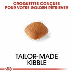 Royal Canin Golden Retriever Adult Pour Chien 12kg 9 Royal Canin Golden Retriever Adult Pour Chien 12kg -Nourritures pour chien royal canin golden retriever adult croquettes pour chien golden retriever 3