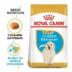 Royal Canin Golden Retriever Chiot Pour Chien 12kg 8 Royal Canin Golden Retriever Chiot Pour Chien 12kg -Nourritures pour chien royal canin golden retriever puppy golden retriever junior 1