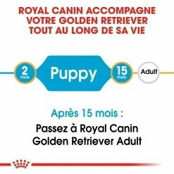 Royal Canin Golden Retriever Chiot Pour Chien 12kg 10 Royal Canin Golden Retriever Chiot Pour Chien 12kg -Nourritures pour chien royal canin golden retriever puppy golden retriever junior 3
