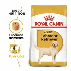 Royal Canin Labrador Retriever Adult Pour Chien 12kg -Nourritures pour chien royal canin labrador retriever adult croquettes pour chien labrador retriever adulte 1