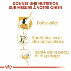 Royal Canin Labrador Retriever Adult Pour Chien 12kg -Nourritures pour chien royal canin labrador retriever adult croquettes pour chien labrador retriever adulte 2