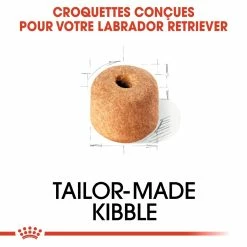 Royal Canin Labrador Retriever Adult Pour Chien 12kg -Nourritures pour chien royal canin labrador retriever adult croquettes pour chien labrador retriever adulte 3