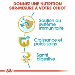 Royal Canin Labrador Retriever Chiot Pour Chien 12kg -Nourritures pour chien royal canin labrador retriever puppy labrador retriever junior 2