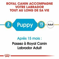 Royal Canin Labrador Retriever Chiot Pour Chien 12kg -Nourritures pour chien royal canin labrador retriever puppy labrador retriever junior 3