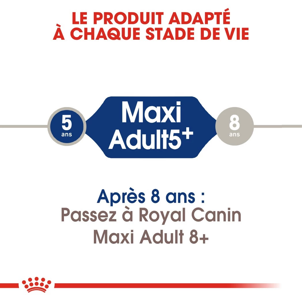 Royal Canin Maxi Adult 5+ Pour Chien 15kg 3 Royal Canin Maxi Adult 5+ Pour Chien 15kg – Image 3