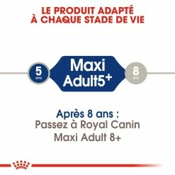Royal Canin Maxi Adult 5+ Pour Chien 10kg -Nourritures pour chien royal canin maxi adult croquettes pour chien maxi adult 2