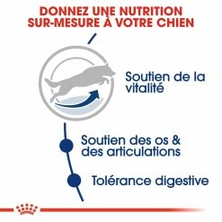 Royal Canin Maxi Adult 5+ Pour Chien 4kg -Nourritures pour chien royal canin maxi adult croquettes pour chien maxi adult 3 2