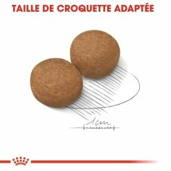 Royal Canin Maxi Adult Pour Chien 15kg -Nourritures pour chien royal canin maxi adult croquettes pour chien maxi adult 3