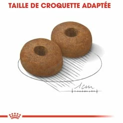 Royal Canin Maxi Ageing 8+ Pour Chien 15kg -Nourritures pour chien royal canin maxi ageing croquettes pour chien maxi ageing 2