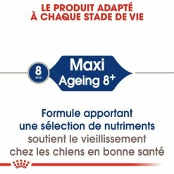 Royal Canin Maxi Ageing 8+ Pour Chien 15kg -Nourritures pour chien royal canin maxi ageing croquettes pour chien maxi ageing 3