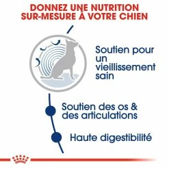 Royal Canin Maxi Ageing 8+ Pour Chien 15kg -Nourritures pour chien royal canin maxi ageing croquettes pour chien maxi ageing 4