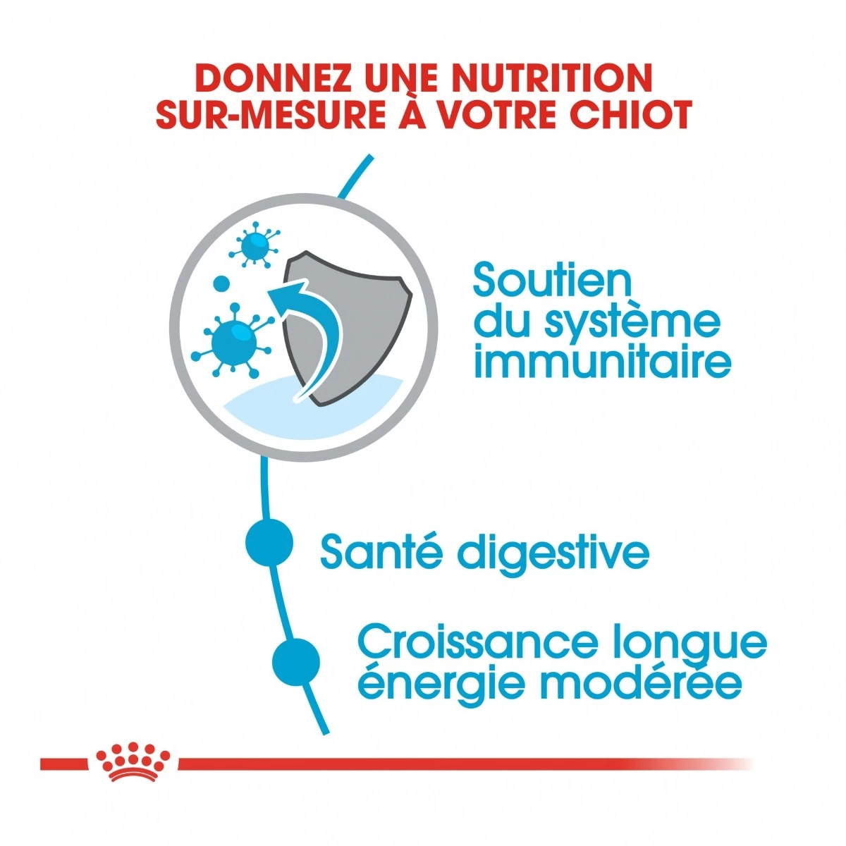 Royal Canin Maxi Chiot Pour Chien 15kg 2 Royal Canin Maxi Chiot Pour Chien 15kg – Image 2