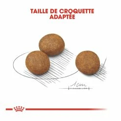 Royal Canin Maxi Chiot Pour Chien 15kg 5 Royal Canin Maxi Chiot Pour Chien 15kg -Nourritures pour chien royal canin maxi puppy croquettes pour chiot maxi puppy 3 2