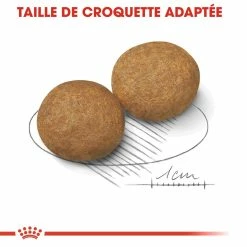 Royal Canin Medium Adult Pour Chien 15kg 14 Royal Canin Medium Adult Pour Chien 15kg -Nourritures pour chien royal canin medium adult croquettes pour chien medium adult 3
