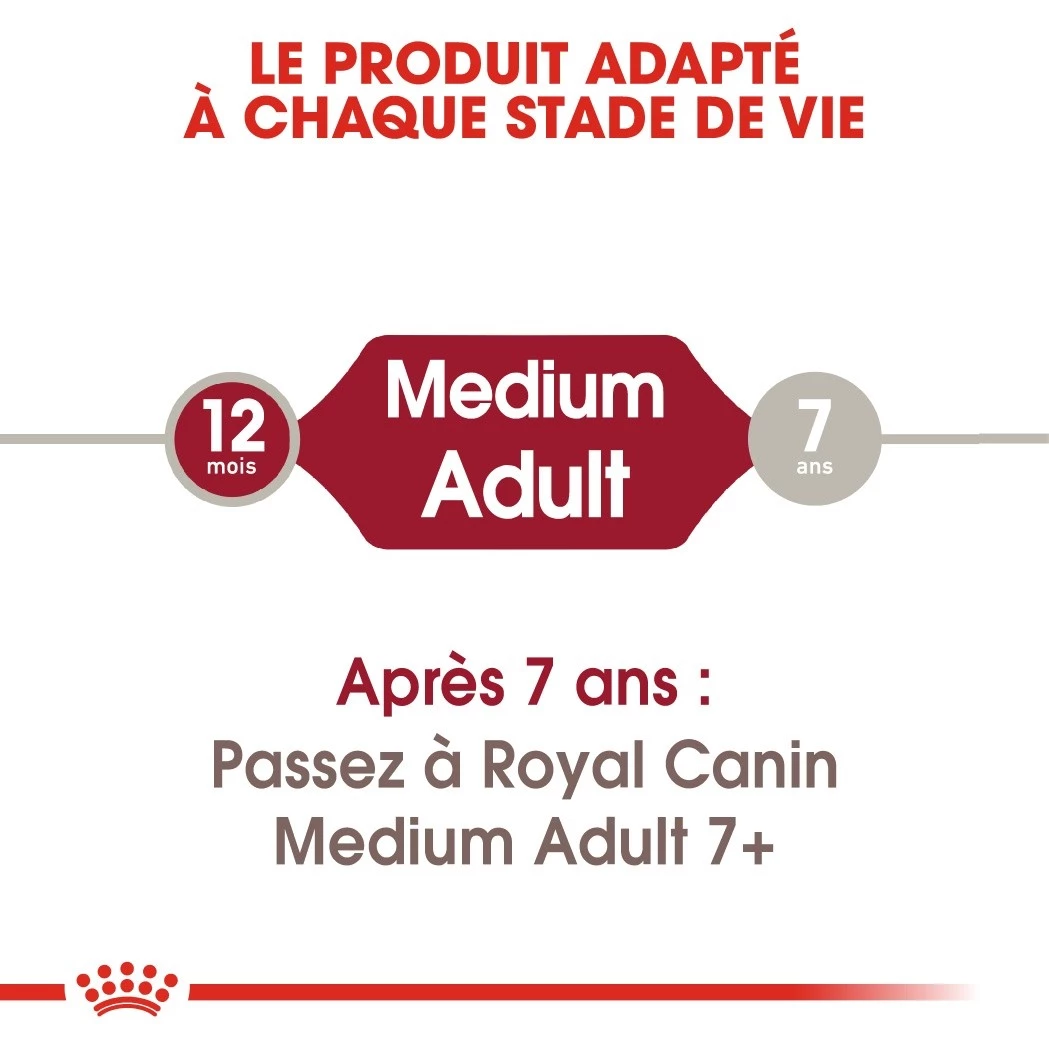Royal Canin Medium Adult Pour Chien 15kg 6 Royal Canin Medium Adult Pour Chien 15kg – Image 6