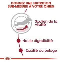 Royal Canin Medium Adult 7+ Pour Chien 15kg 9 Royal Canin Medium Adult 7+ Pour Chien 15kg -Nourritures pour chien royal canin medium adult medium adult 2
