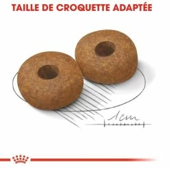 Royal Canin Medium Ageing 10+ Pour Chien 15kg 8 Royal Canin Medium Ageing 10+ Pour Chien 15kg -Nourritures pour chien royal canin medium ageing medium ageing 2