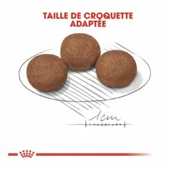 Royal Canin Medium Junior Pour Chien 15kg -Nourritures pour chien royal canin medium puppy croquettes pour chiot medium puppy 4