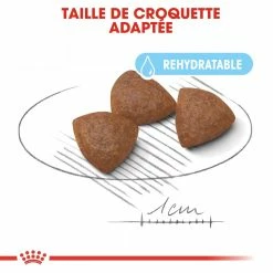 Royal Canin Medium Starter Mother & Babydog - 15Kg -Nourritures pour chien royal canin medium starter medium starter 2