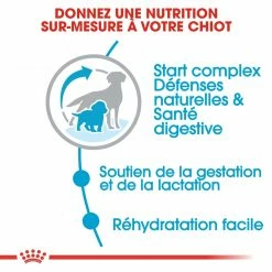 Royal Canin Medium Starter Mother & Babydog - 15Kg -Nourritures pour chien royal canin medium starter medium starter 3