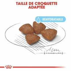 Royal Canin Mini Starter Mother & Babydog - 8.5Kg -Nourritures pour chien royal canin mini starter mini starter 2