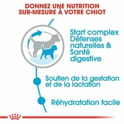 Royal Canin Mini Starter Mother & Babydog - 8.5Kg -Nourritures pour chien royal canin mini starter mini starter 3