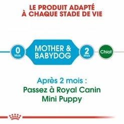 Royal Canin Mini Starter Mother & Babydog - 8.5Kg -Nourritures pour chien royal canin mini starter mini starter 4