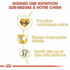 Royal Canin Rottweiler Adult Pour Chien 12kg -Nourritures pour chien royal canin rottweiler adult rottweiler 2