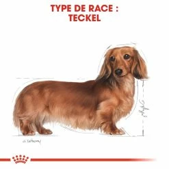 Royal Canin Teckel Adult Pour Chien 7,5kg -Nourritures pour chien royal canin teckel adult dachshund teckel dachshund 3