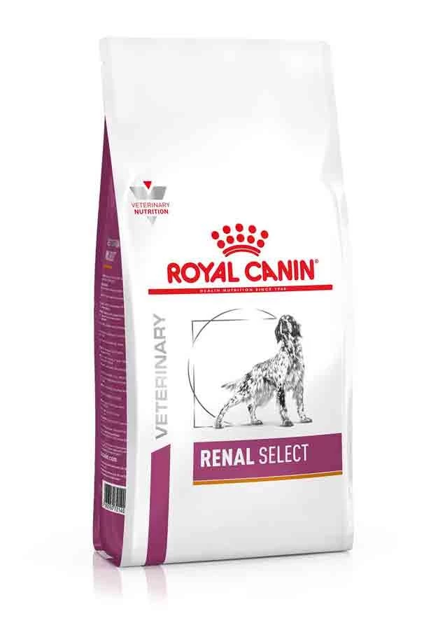 Royal Canin Renal Select Pour Chien 10kg 2 Royal Canin Renal Select Pour Chien 10kg – Image 2