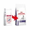 Royal Canin Medium Dog Adult Pour Chien 10kg